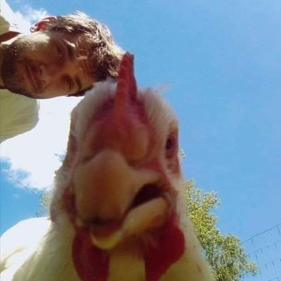 multi-instrumentalist - drums, piano, guitar, bass, and singing/songwriting - animal rights/satire/censored - twitter is for abusing the powerful