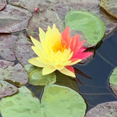 kitty1967's profile picture. 