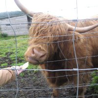 Wozzo (@wozzo22) 's Twitter Profile Photo