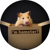 I’m hamster? (@im_hamster8686) 's Twitter Profile