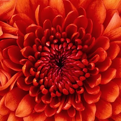 ashwinikkr's profile picture. 