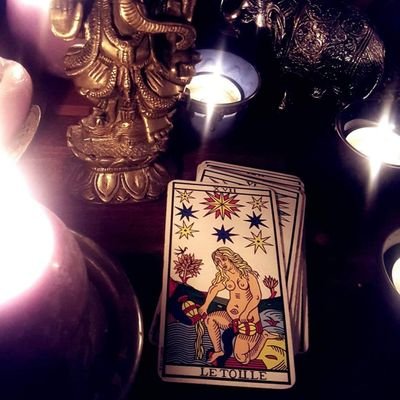 LesEtoilesXVII's profile picture. 