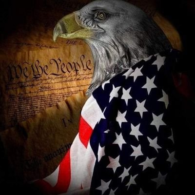 BSwift4ever's profile picture. Better judged by twelve,
than carried by six.