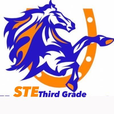 We are the AWESOME 3rd graders of Stewartsboro Elementary 🧡💙🐴