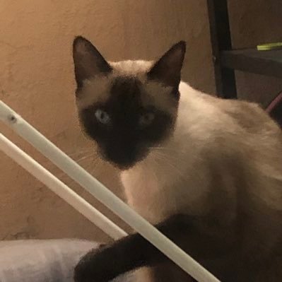 VirgoB69's profile picture. 