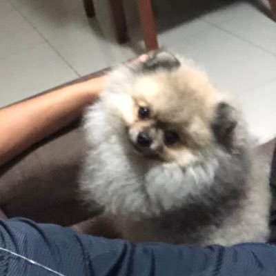 devverdades's profile picture. 