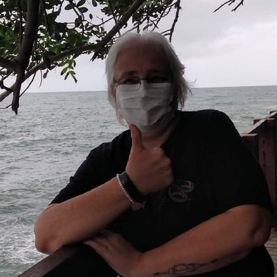 anasizenando's profile picture. RETOMANDO A BANDEIRA BRASILEIRA DOS FASCISTAS