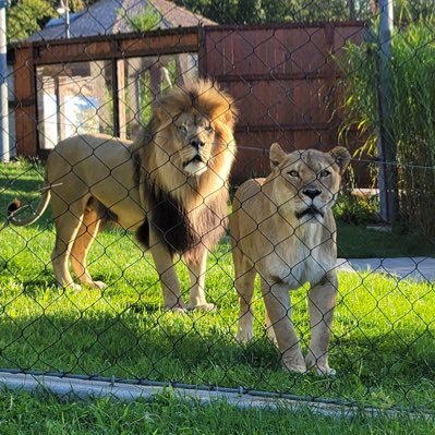 poojakanojia's profile picture. 