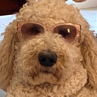 juju (@juju_1776) 's Twitter Profile Photo juju (@juju_1776) 's Twitter Profile Photo