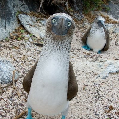 4Yourmotha's profile picture. Chief Boob

Campaign manager, Ligma Johnson 2024