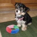 Cynthia Gayle Walker - @Cindy_G_Walker - Twitter