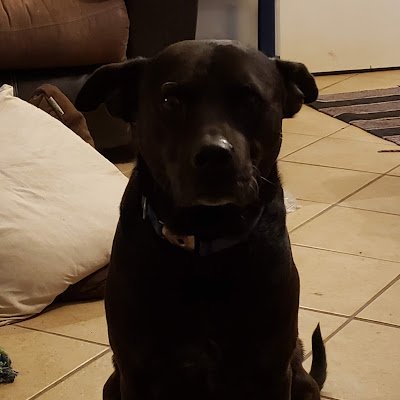 DawnCourtneyRe1's profile picture. 