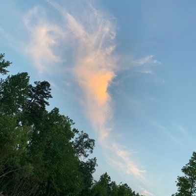 💞 LOVE is the only way 💞
Trust God
No vax, no mask, no tests, no DMs unless I know you.
