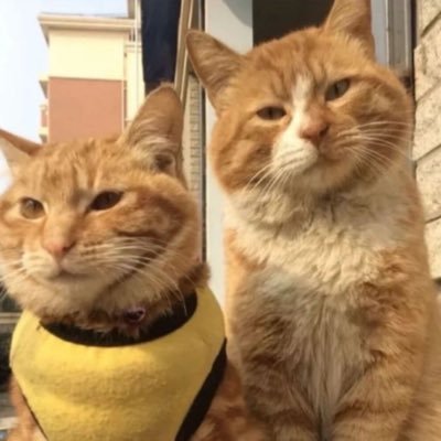 Dalen2996's profile picture. 