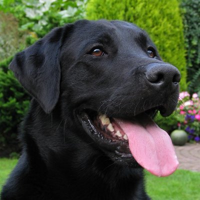 Spud Profile