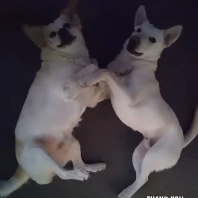 Estefania80sl's profile picture. 