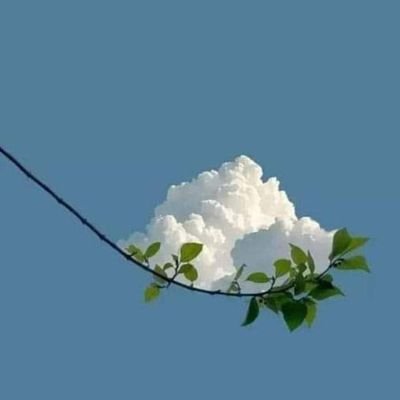 MAHISH265450251's profile picture. lशिक्षक सड़क की तरह होते है वे खुद एक जगह रहकर दूसरे को उनकी मंजिल तक पहुंचा देते है . 
🙏✍️👣🌷👌🙌✍️💪🙏