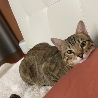 Dirac33_A's profile picture. 