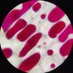 voorti99 (@voorti99) Twitter profile photo voorti99 (@voorti99) Twitter profile photo