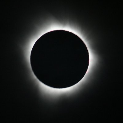 ozywuli's profile picture. damn