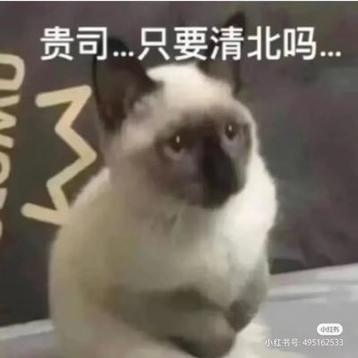 peterlee520754's profile picture. 