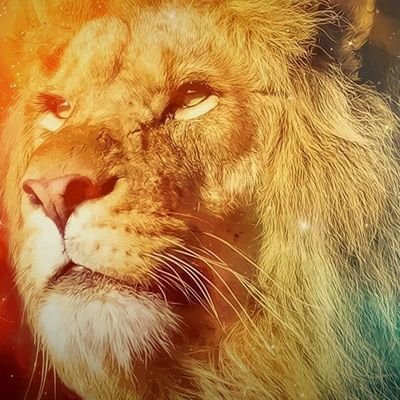 CadernalInes's profile picture. O Senhor é meu pastor; nada me faltará. 
Conservadora, patriota e intercessora pelo meu país.💚💛🇧🇷🇧🇷🇧🇷🇧🇷