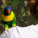 Leah Dunham - @leahdunham - Twitter