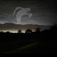 max ⚫️ (@theshittymoon) 's Twitter Profile