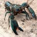 MR. YABBY (@mr_yabby) Twitter profile photo MR. YABBY (@mr_yabby) Twitter profile photo
