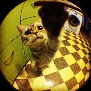 rs_code7's profile picture. Programming and tech enthusiast