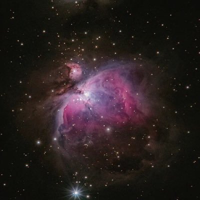 _vlxd's profile picture. full-guac-dev | market-maker | profit-maxi