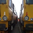 Dan Crisp - @plantspotter - Twitter