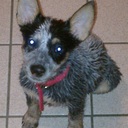 Michael Haskett - @MichaelHaskett1 - Twitter