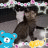 megmog23's profile image
