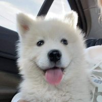 Mary | SRE ๐ท๐ด ๐ (@pykpyky) 's Twitter Profile
