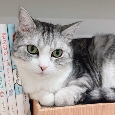 꼬치구름さんのプロフィール画像
