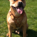 Ryan goodall - @good4ll - Twitter