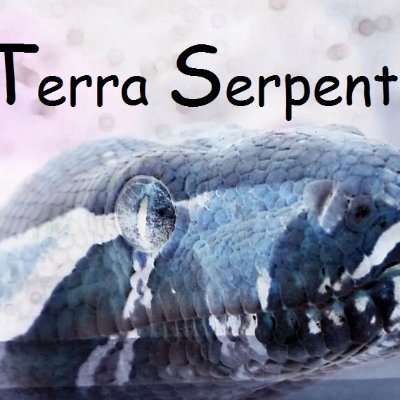 SerpentesTerra's profile picture. 