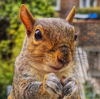 LOVE Nature & photography!
Can't abide fake vegans, wokeness or so-called positive discrim.
World's gone mad! Loony-Lefties keep walking.
All views my own.