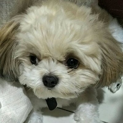yanaoo (evm/acc) Profile