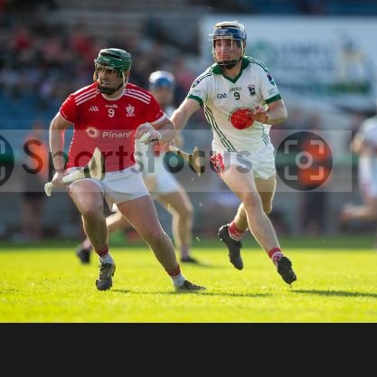 Jfitz60500108's profile picture. horse racing mad🐎🐎
anything sports related🏑⛳⚽️
Roscrea🇦🇹🇦🇹