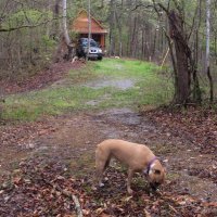 Cora (@cora_toman) 's Twitter Profile