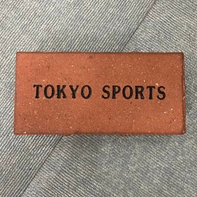 東京スポーツ新聞社の記者です。担当はプロレス格闘技です。時々