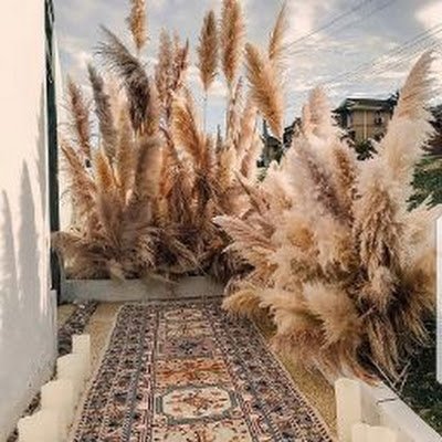 pishposhposh808's profile picture. Teacher turned Reseller