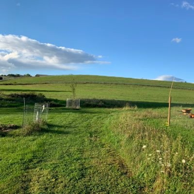 Pennsylvanian raising several 2E kids, armchair theologian, Gene Wolfe scholar, incompetent hobby farmer