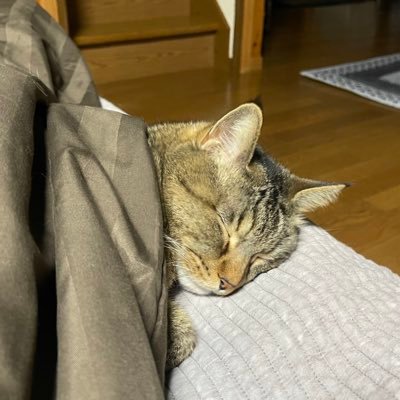 gin2_LIENSOLIDE's profile picture. すみません、前のが出来なくなりましたので新しくなりました。 ライコス嘆きの壁、モンハンで遊んでいます。 無言フォロー失礼しますm(_ _)m