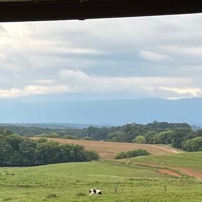 MissyBurkhart's profile picture. 