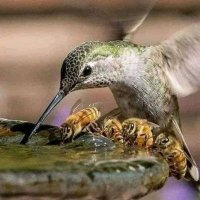M 🇵🇸 (@aspectofme) 's Twitter Profile