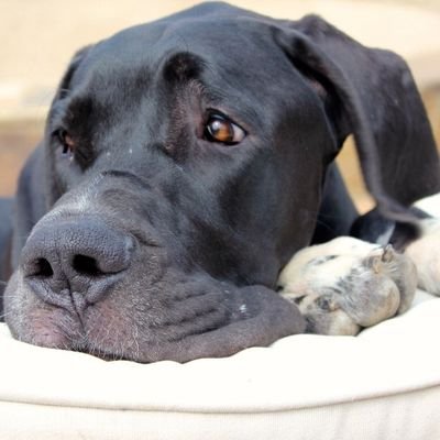 mjlong1507's profile picture. Life-long Conservative voter                                 Happily Married  🚫DMs  🚫Crypto           
InstaBlock OnlyFans