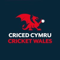 Cardiff & Vale 🏏Development Officer(@CricketWalesDev) 's Twitter Profile Photo